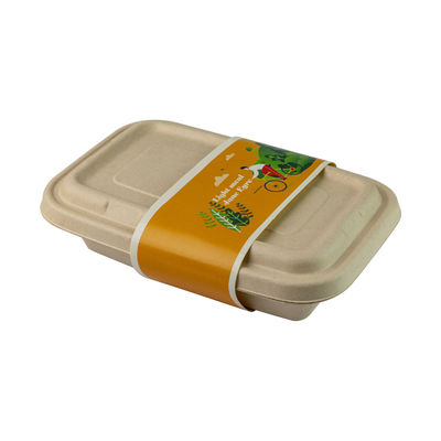 Biodegradable Sugarcane Bagasse Food Container Fast Food Take Away Bamboo Reed