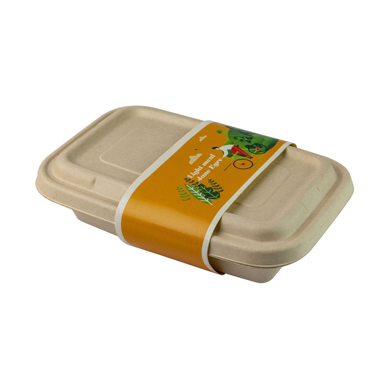 Biodegradable Sugarcane Bagasse Food Container Fast Food Take Away Bamboo Reed