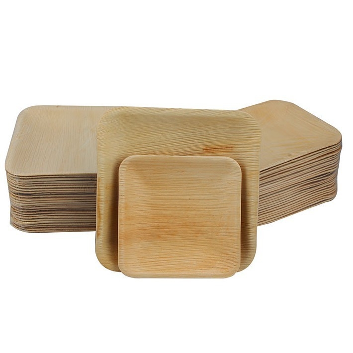 OEM Biodegradable Palm Leaf Plates With Laminated Packing