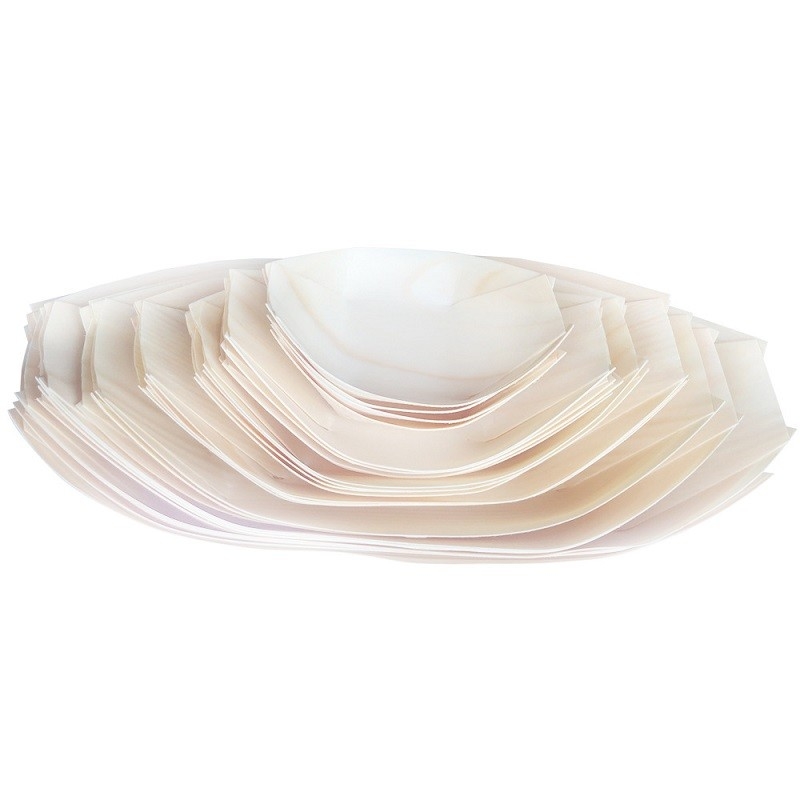 Eco Friendly Wooden Takoyaki Container , Disposable Sushi Boat