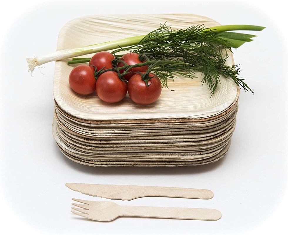 10" Disposable Square Areca Palm Leaf Plates With Fork Knife